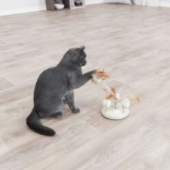 TRIXIE Sisalständer Mit Naturspielzeug Auf Federn -KERBL Verkaufsgeschäft trixie sisalstaender mit naturspielzeug auf federn 1635154217