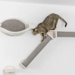 TRIXIE Wandelement III Für Kletterlandschaft -KERBL Verkaufsgeschäft trixie wandelement iii fuer kletterlandschaft 1635497196