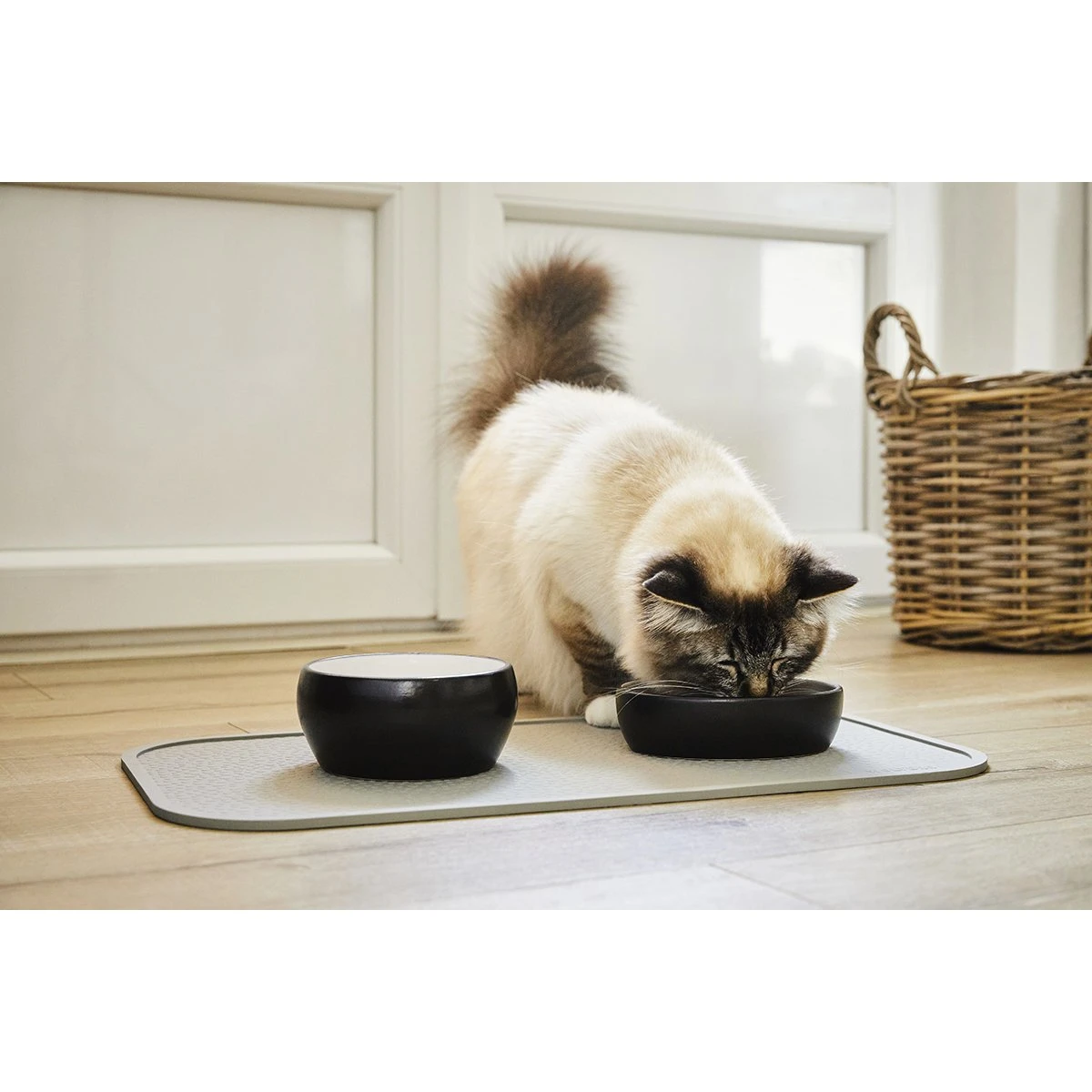 Wolters Diner Colour Katzennapf 3 Wolters Diner Colour Katzennapf – Bild 3