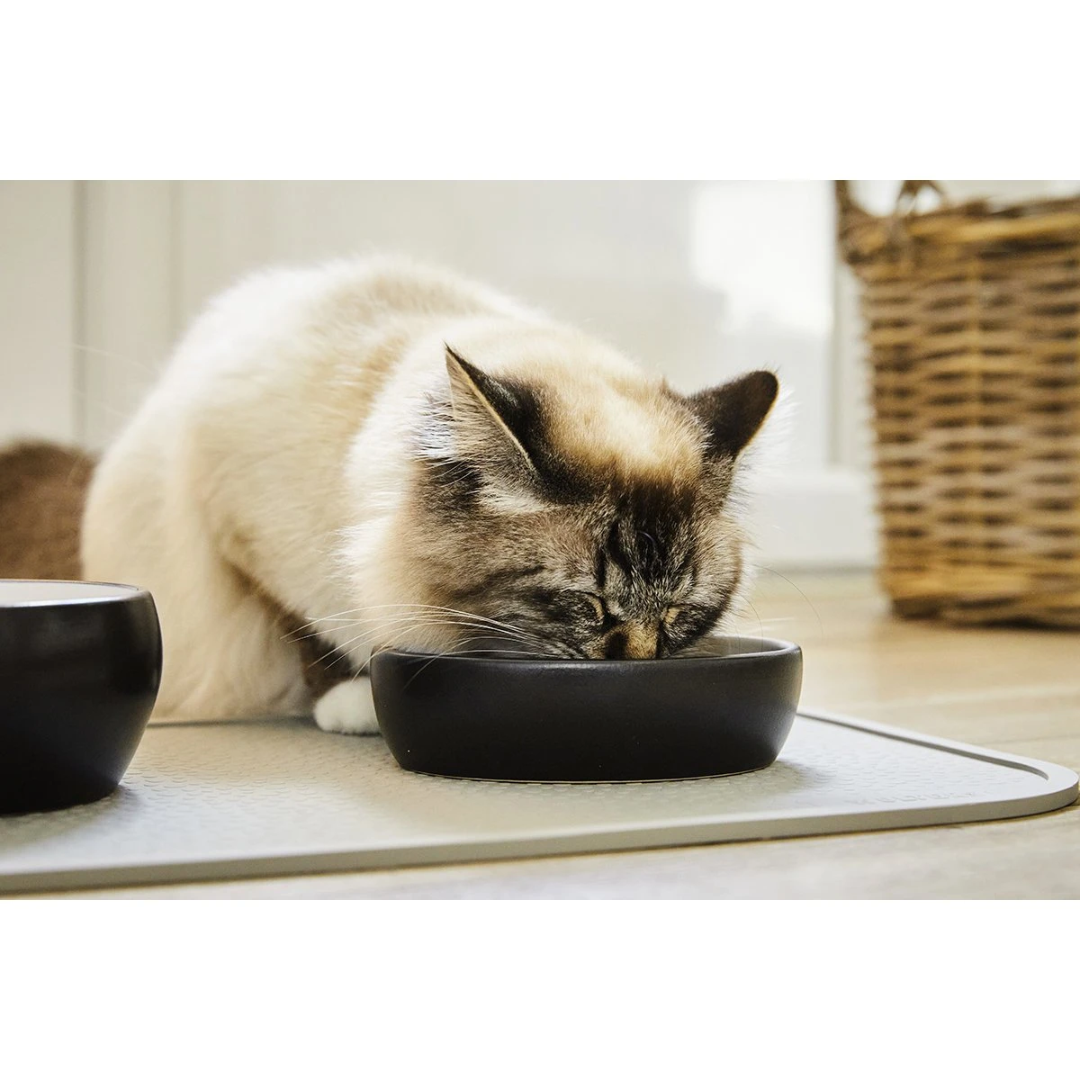 Wolters Diner Colour Katzennapf 2 Wolters Diner Colour Katzennapf – Bild 2