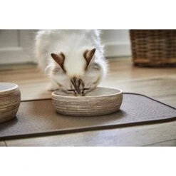 Titelseite -KERBL Verkaufsgeschäft wolters diner stone katzennapf 1601636677